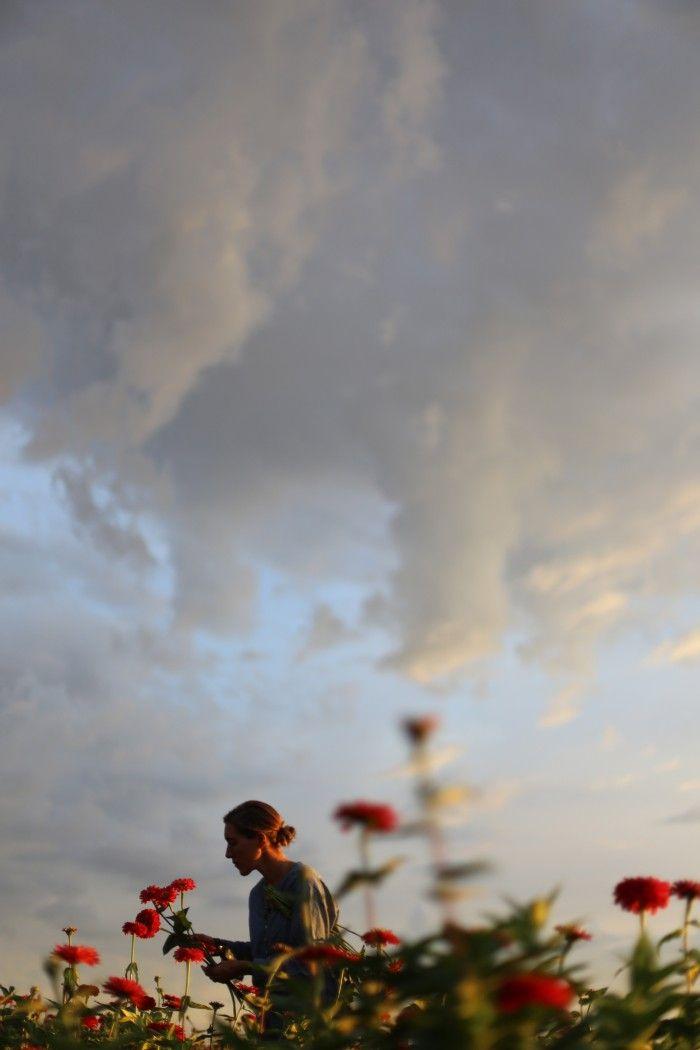 Corporate floral consultation example